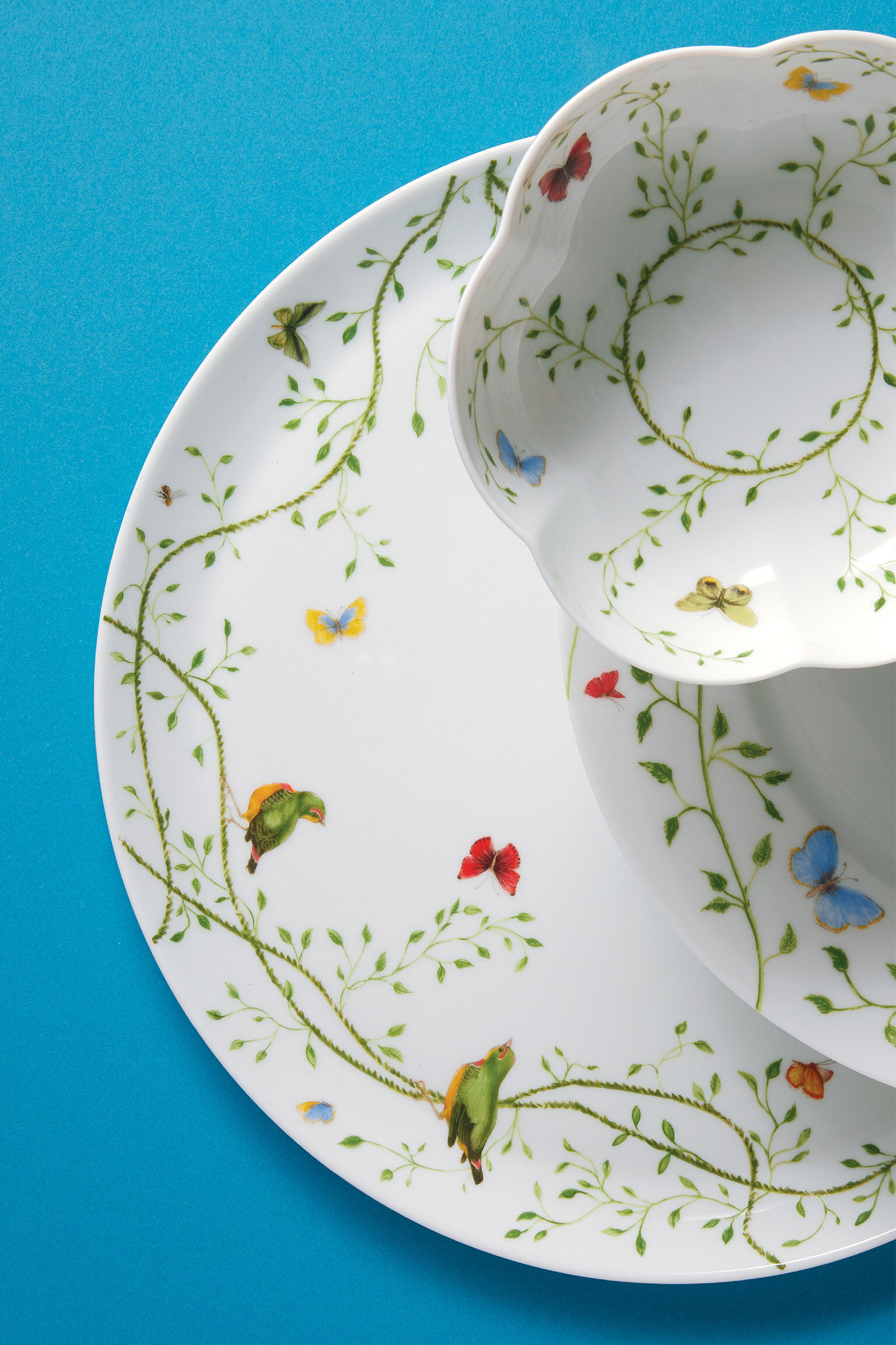 洋書 es Blanc La Nature dans l'Assiette Amazon.fr - La nature dans